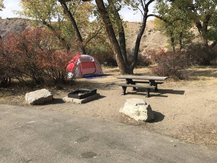 Site 73 with tent