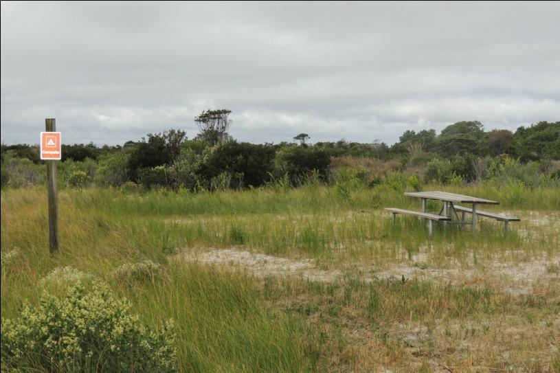 Chincoteague Island Primitive VA — Chincoteague, Virginia dispersed campsite