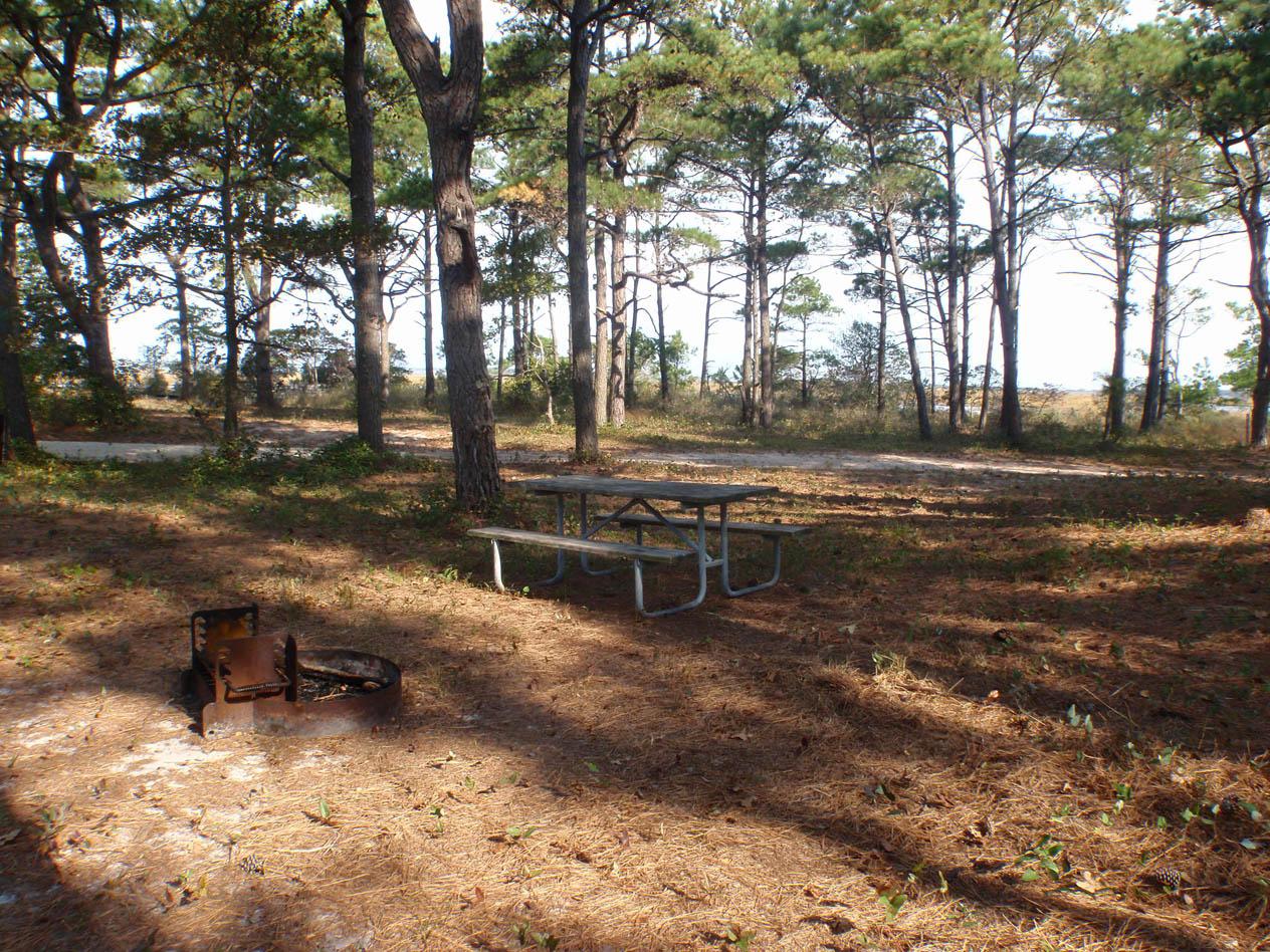 Assateague Island Primitive MD-VA — Ocean City, Maryland dispersed campsite