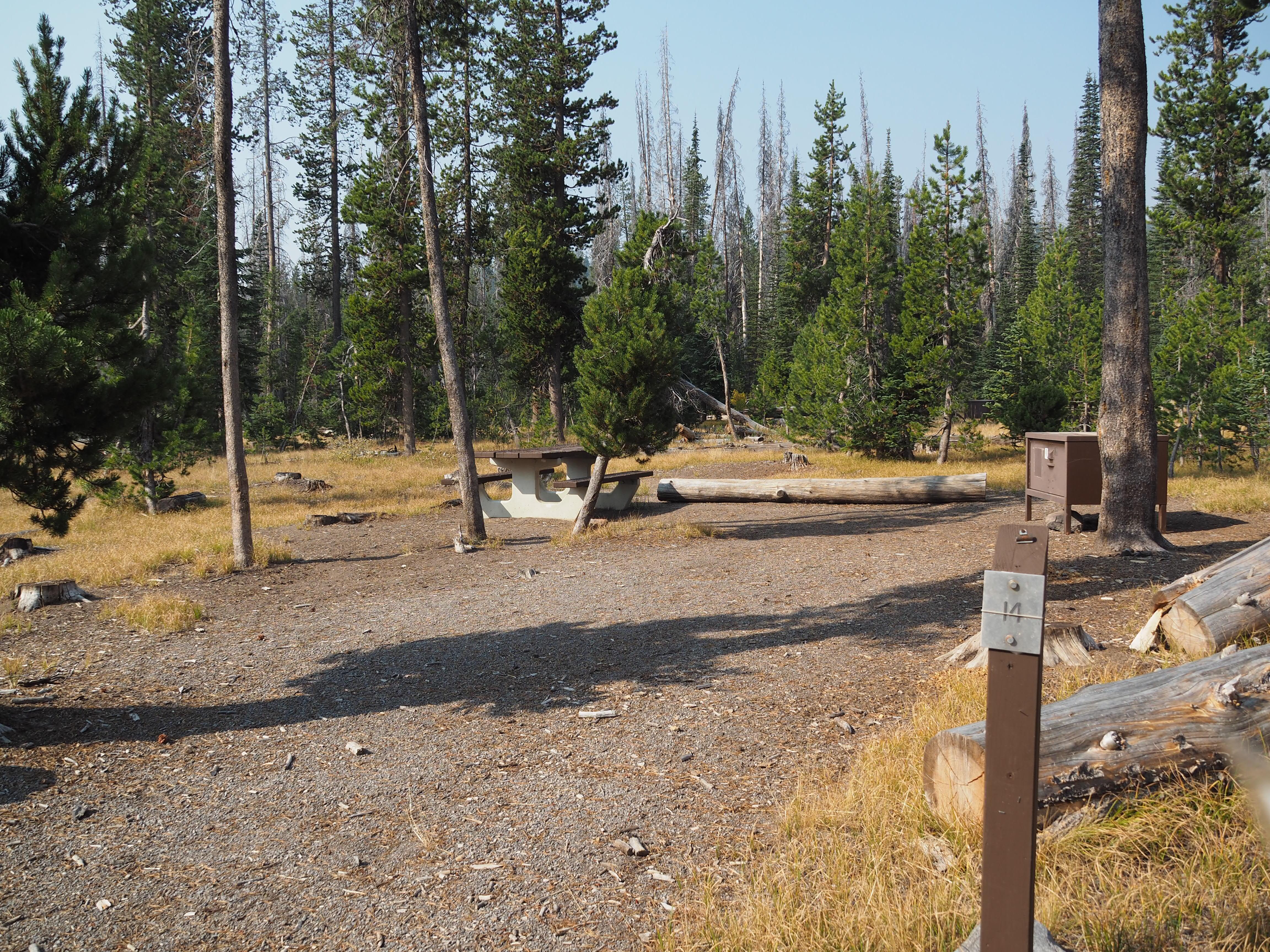 PCT Crater Lake Camp OR — Fremont-Winema NF, Chemult OR dispersed campsite