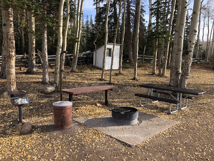 Picnic tables, fire pit and grillPicnic Area