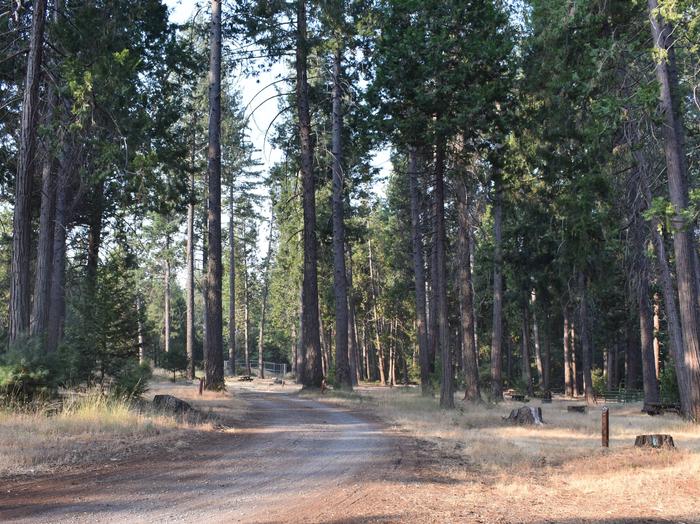 Preview photo of Dru Barner Campground