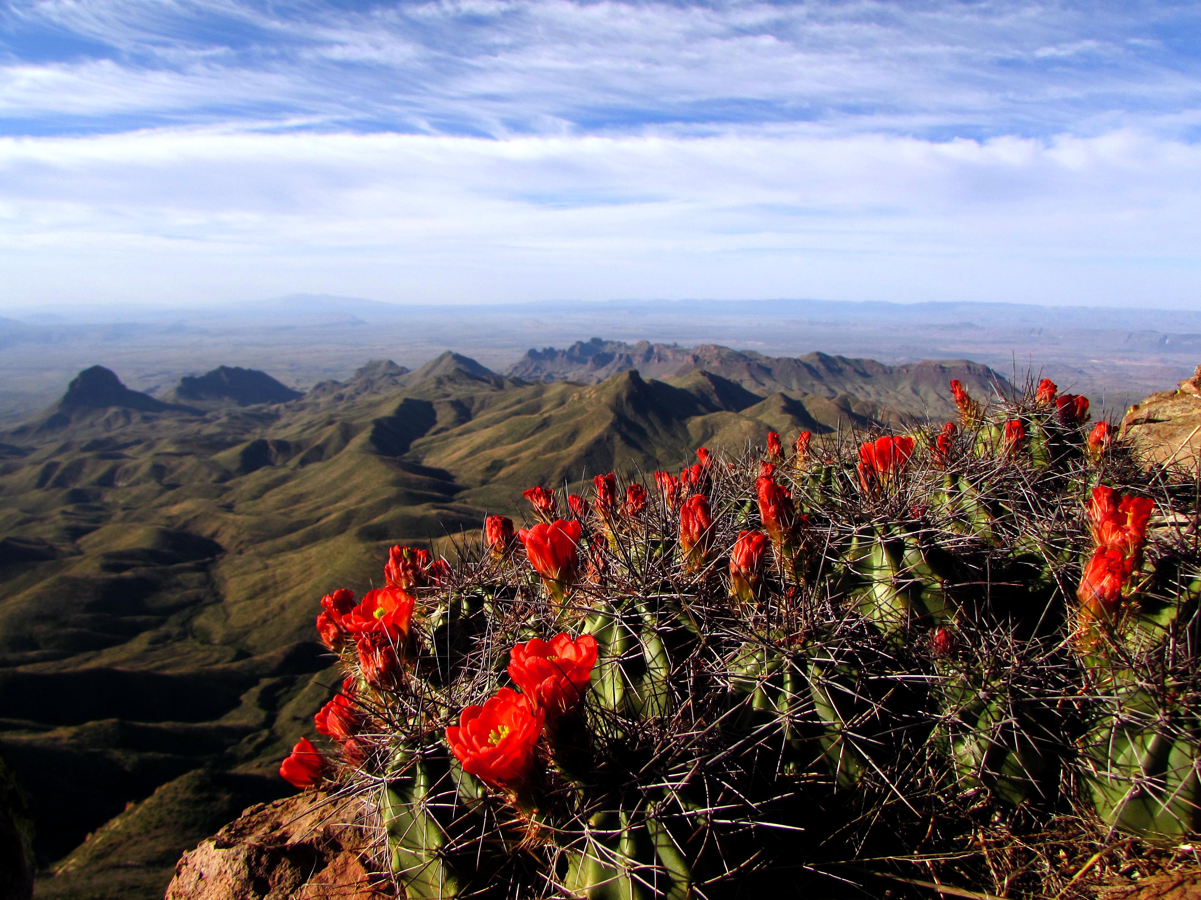 View from the South Rim of the Chisos