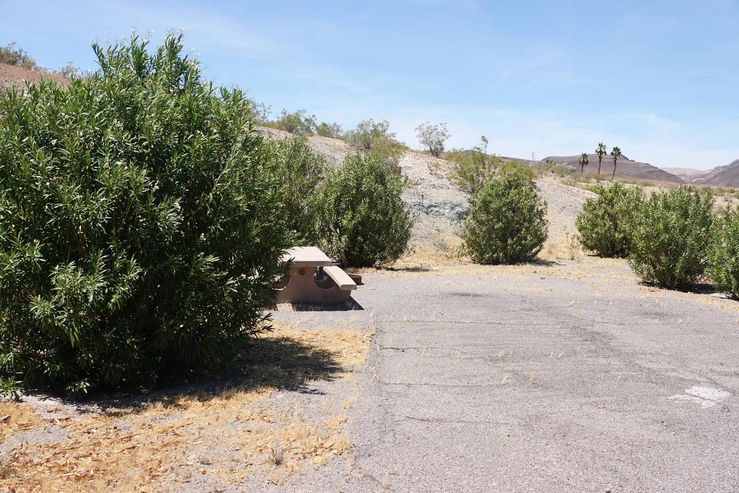 CB Campsite located in a desert setting 0702Callville Bay Campground Site 7