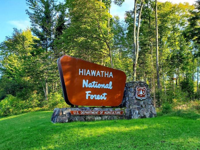 Preview photo of Hiawatha National Forest Christmas Tree Permit