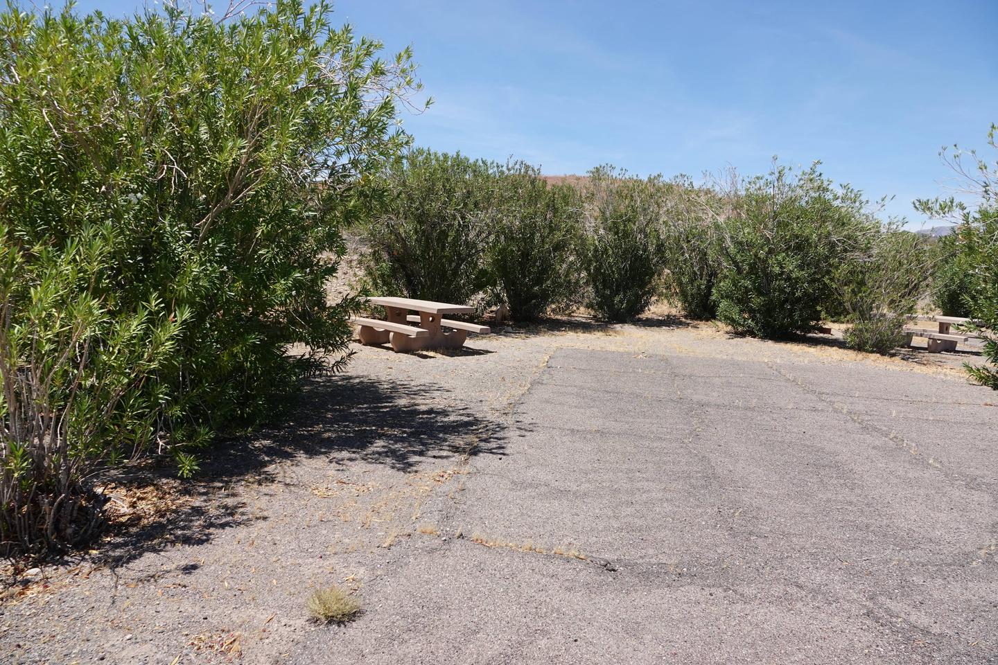 CB Campsite located in a desert setting 1502Callville Bay Campground Site 15