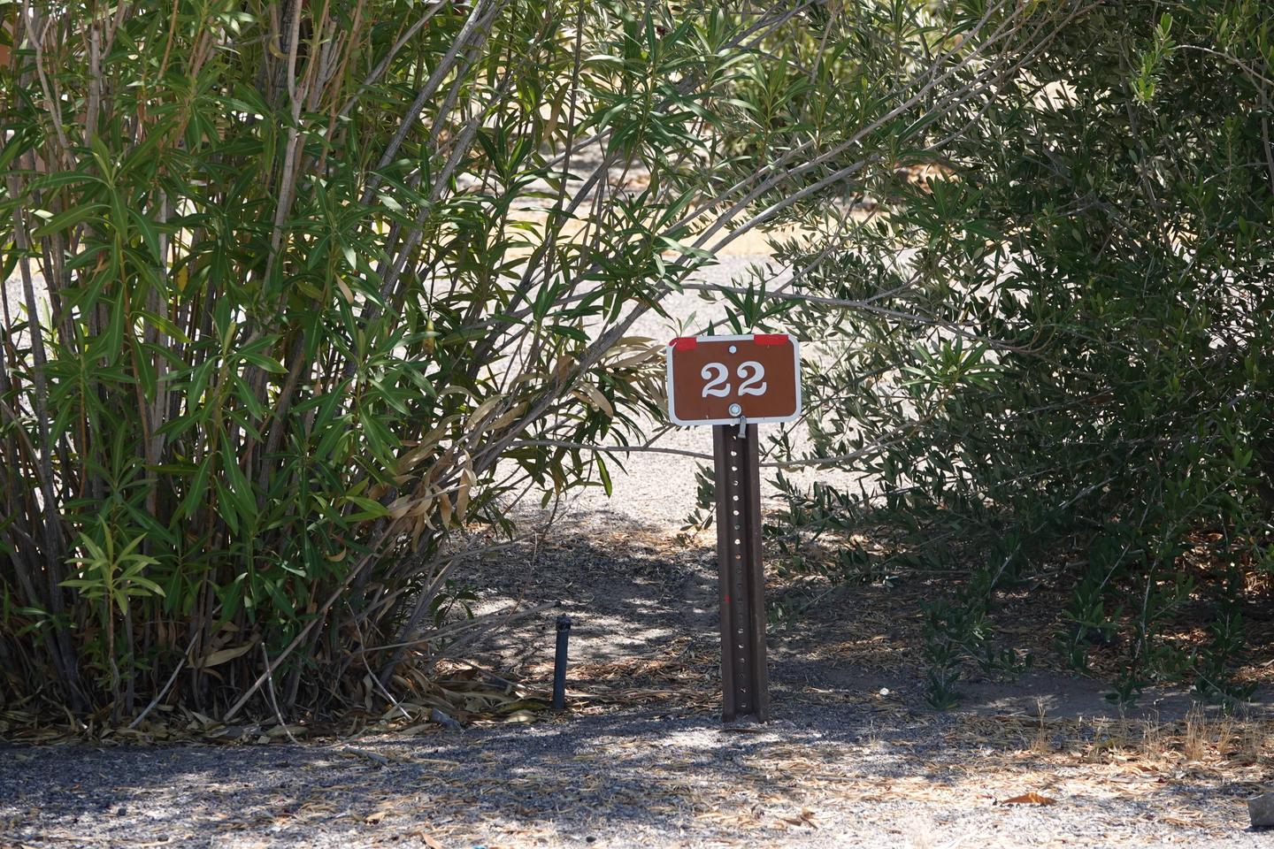 Campsite located in a desert setting2Callville Bay Campground Site 22