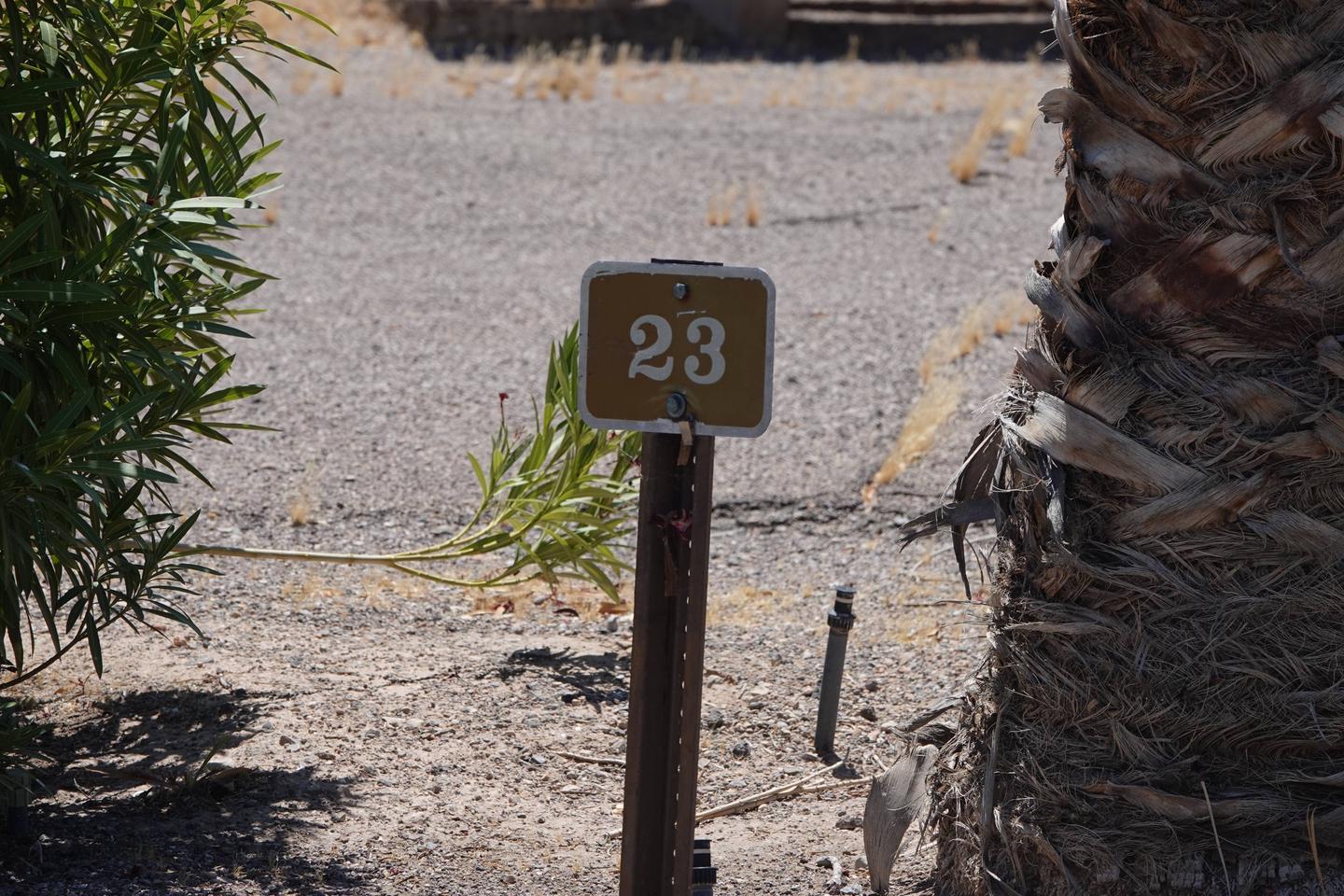 Campsite located in a desert setting2Callville Bay Campground Site 23