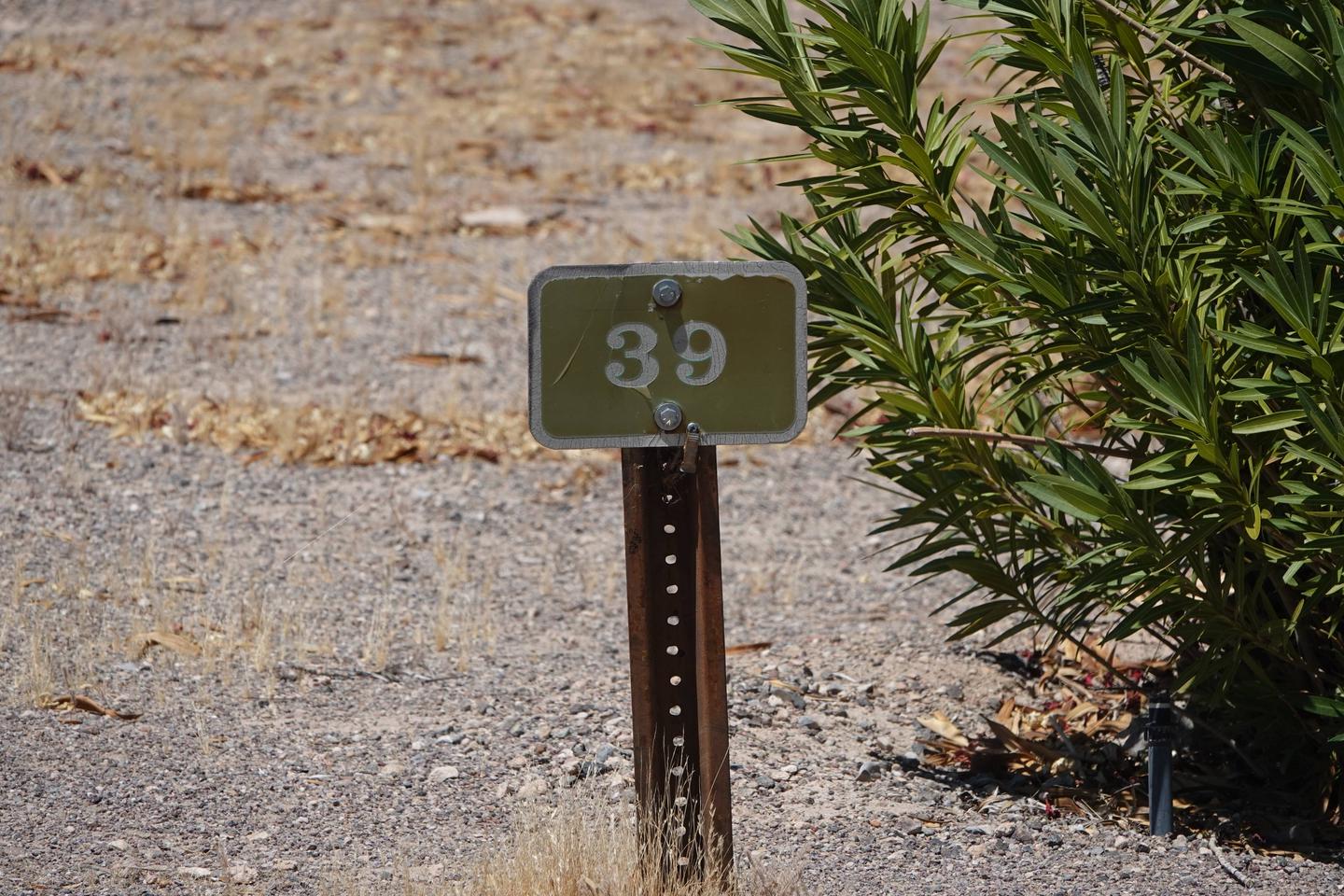 Campsite located in a desert setting1Callville Bay Campground Site 39