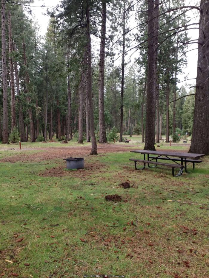 28cThis camp site can accommodate longer trailers and recreational vehicles.