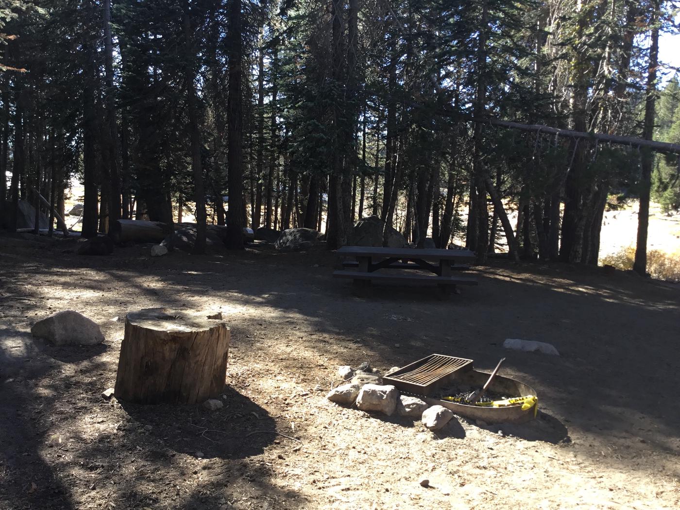 Site 19, (Lake Alpine) Pine Marten - Recreation.gov