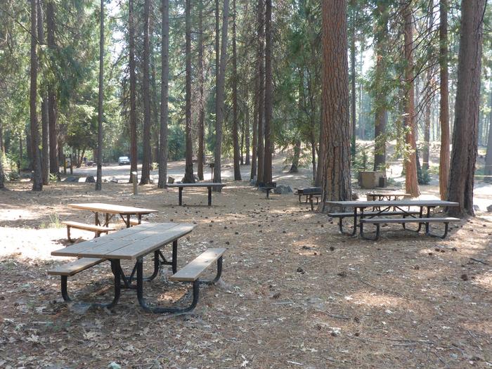 Group kitchen areaThis group area has 11 picnic table, 2 group grills, a group fire ring and a serving table.  