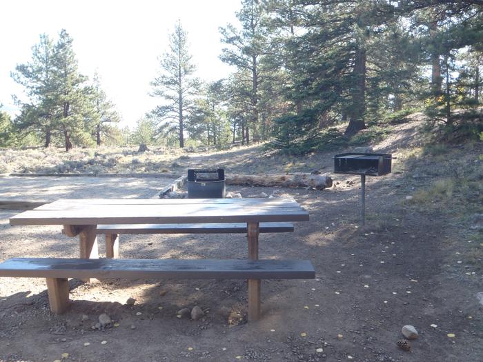 White Star Campground, site 53 picnic table and fire ring