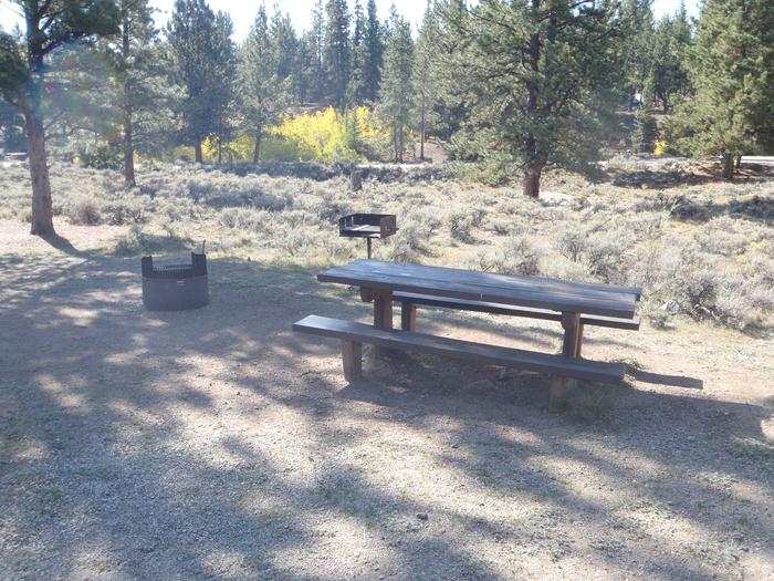 White Star Campground, site 55 picnic table and fire ring