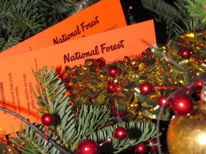 Rogue River-Siskiyou National Forest Christmas Tree Permit in Oregon - Recreation.gov