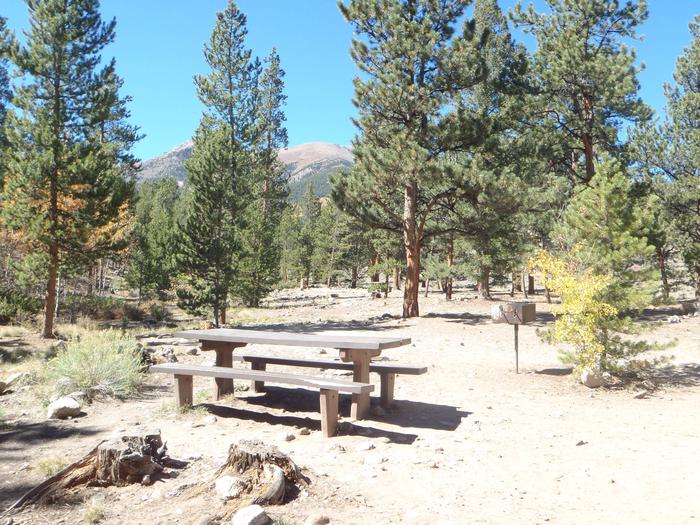 White Star Campground, site 63 picnic table and fire ring 3