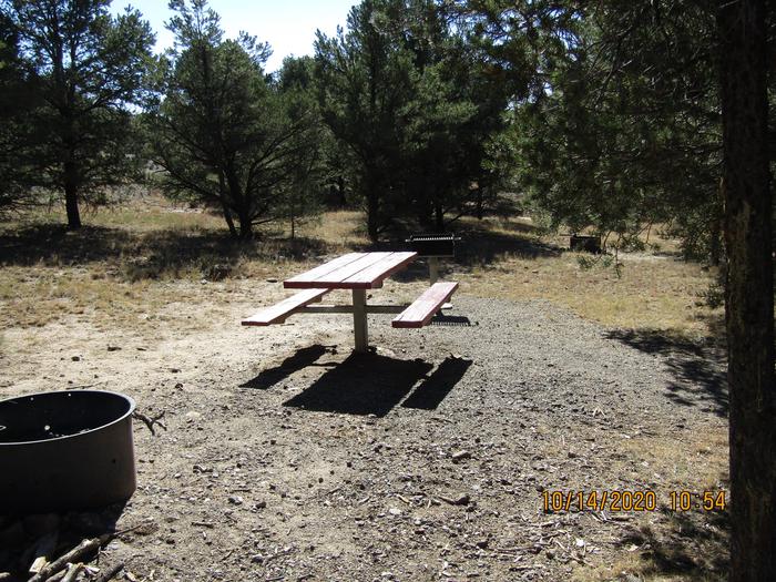 Campsite 1RV Site Picnic Table  