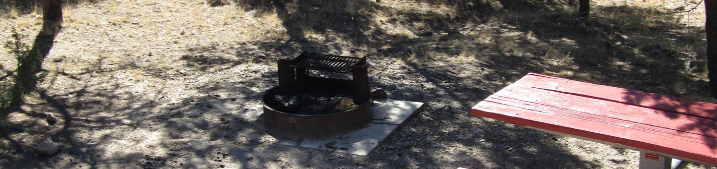 RV Site 3Table and Fire Pit 