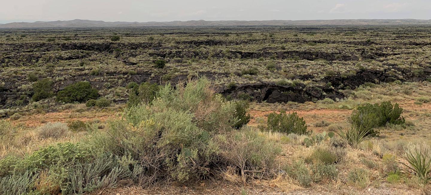 SceneryView from one of the campsites overlooking the lava west of the Recreation Area.