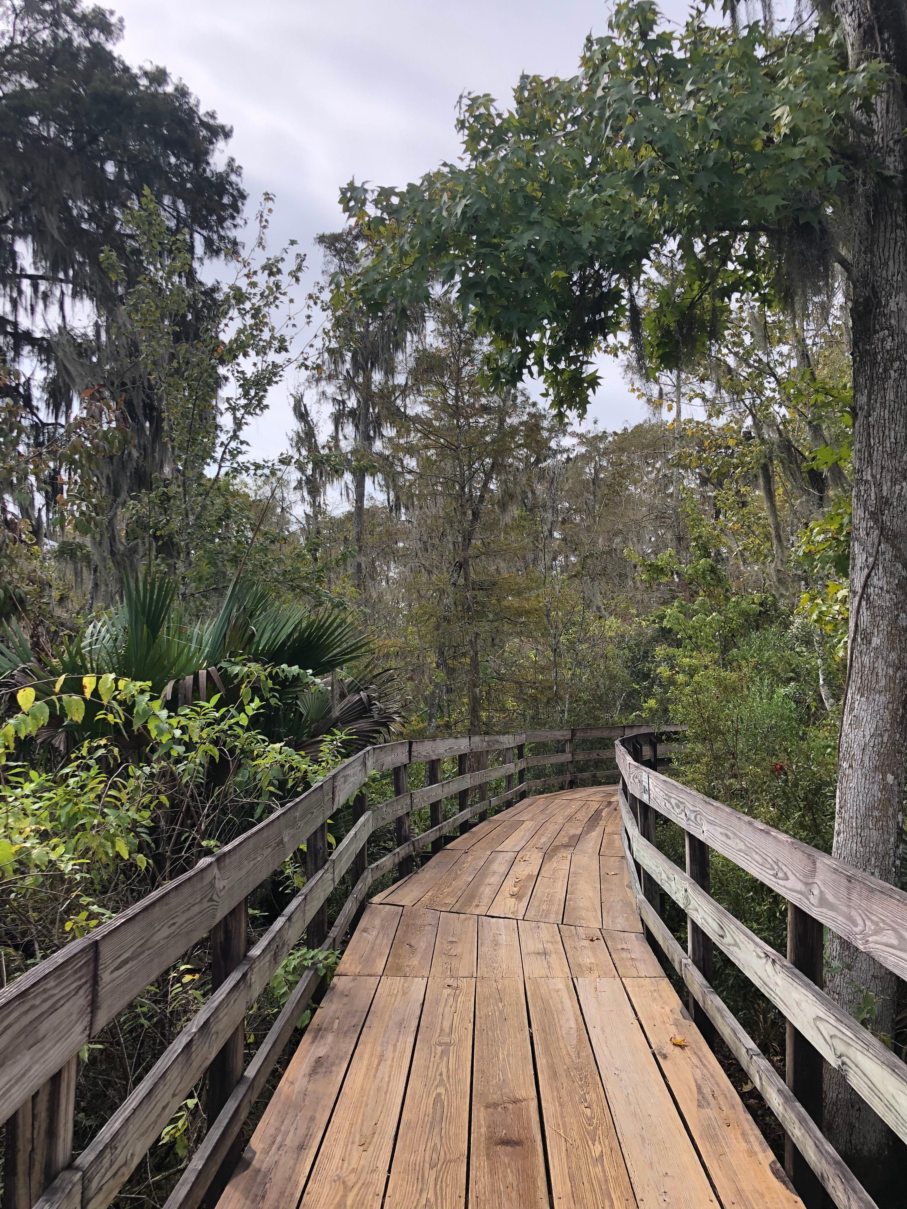 Looking Down the Visitor Center Trail