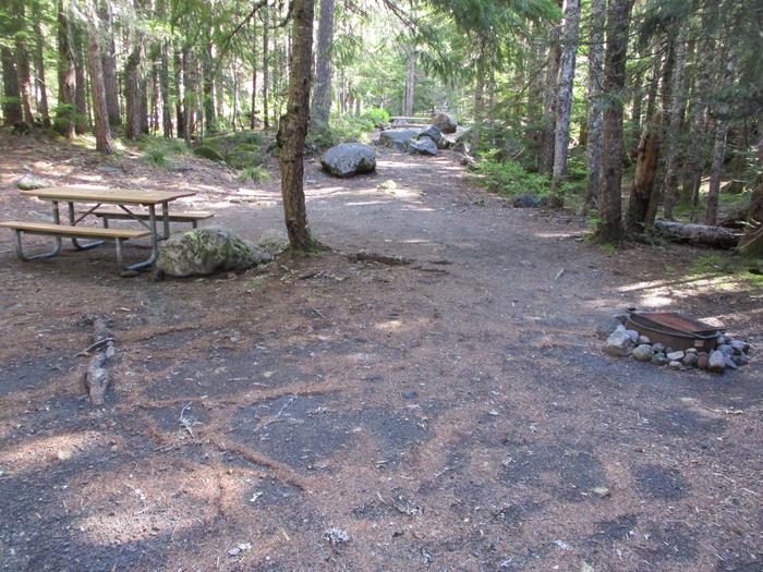 Picnic Table, Fire ring, tent areaPicnic table, fire ring, and tent area