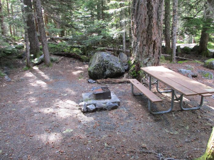 Picnic Table, Fire ring, tent area