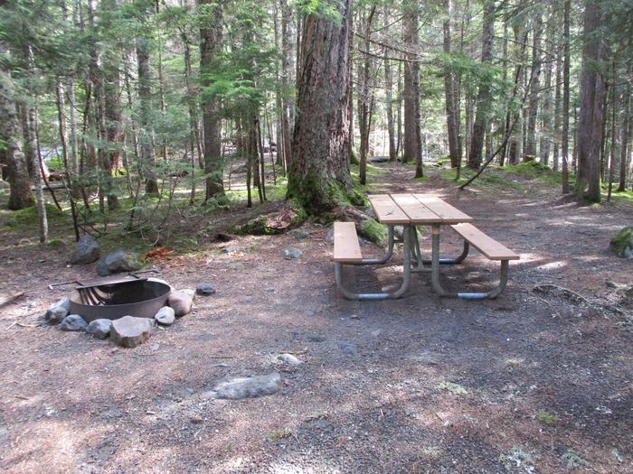 Picnic Table, Fire ring
