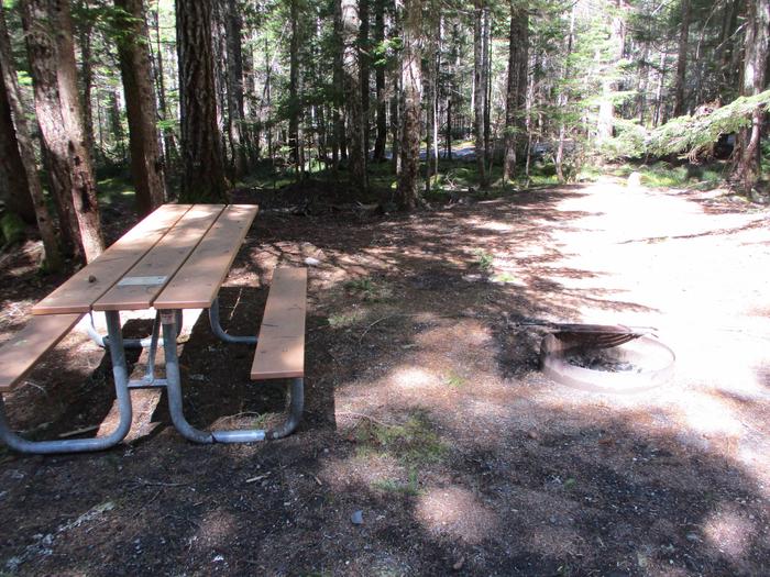 Picnic Table, Fire ring
