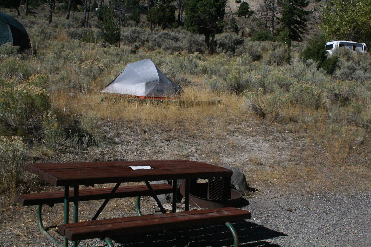 Mammoth Hot Springs Campground Site 7Mammoth Campground site #7