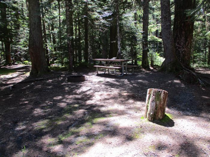 Picnic table, Fire ring, tent area