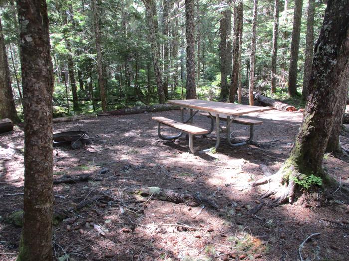 Picnic table, Fire ring, Tent area