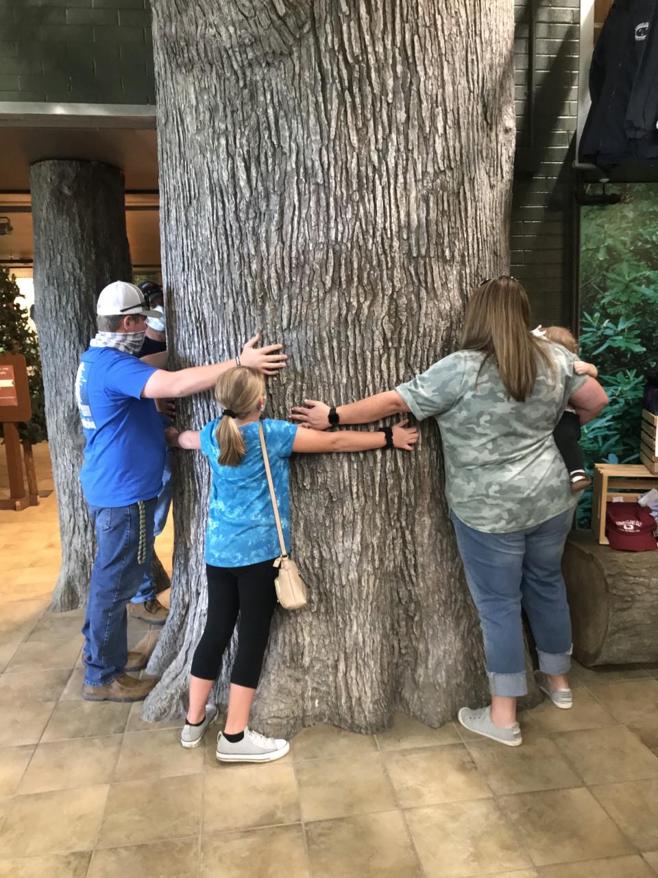Behemoth Size Trees