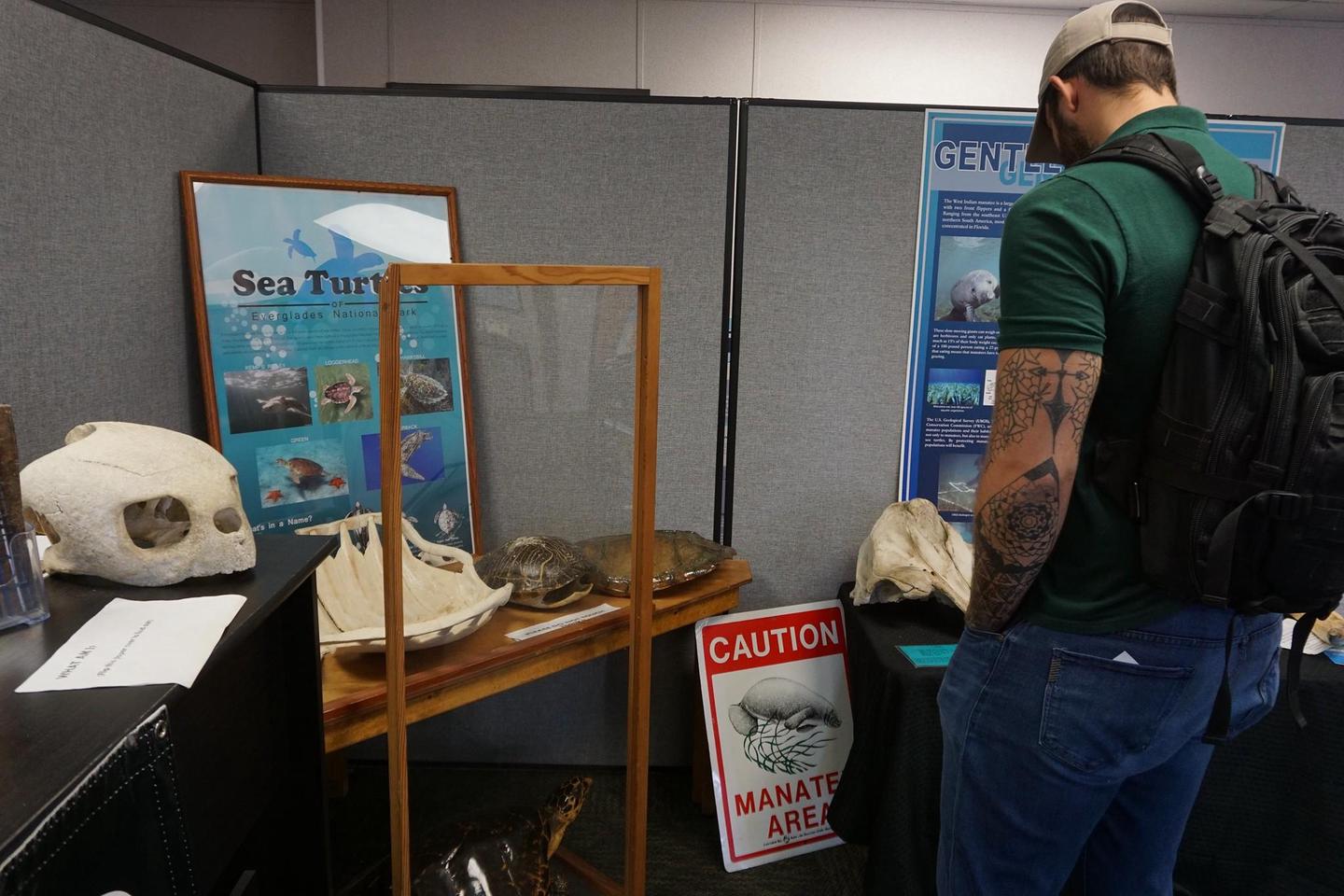 Gulf Coast Visitor Center Interpretive DisplaysA visitor looks at interpretive displays in the Gulf Coast Visitor Center