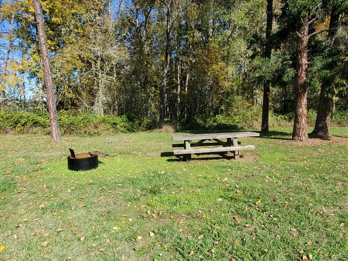 Primitive Site F picnic table and fire ringPrimitive Site F