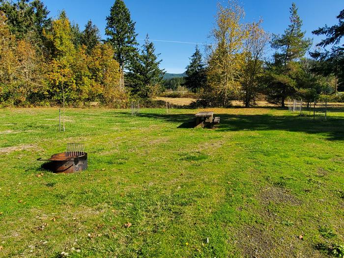 Primitive Site C picnic table and fire ringPrimitive Site C