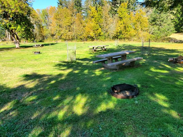 Primitive Site B picnic table and fire ringPrimitive Site B