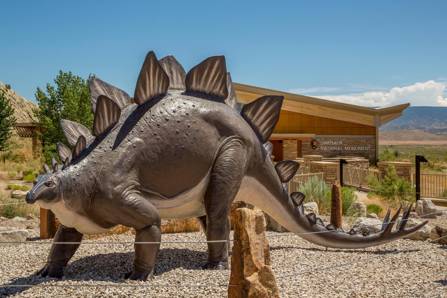 Stegosaurus Statue at the Entrance to the Quarry Visitor CenterThe historic Sinclair Stegosaurus statue greets visitors as the arrive at the Quarry Visitor Center