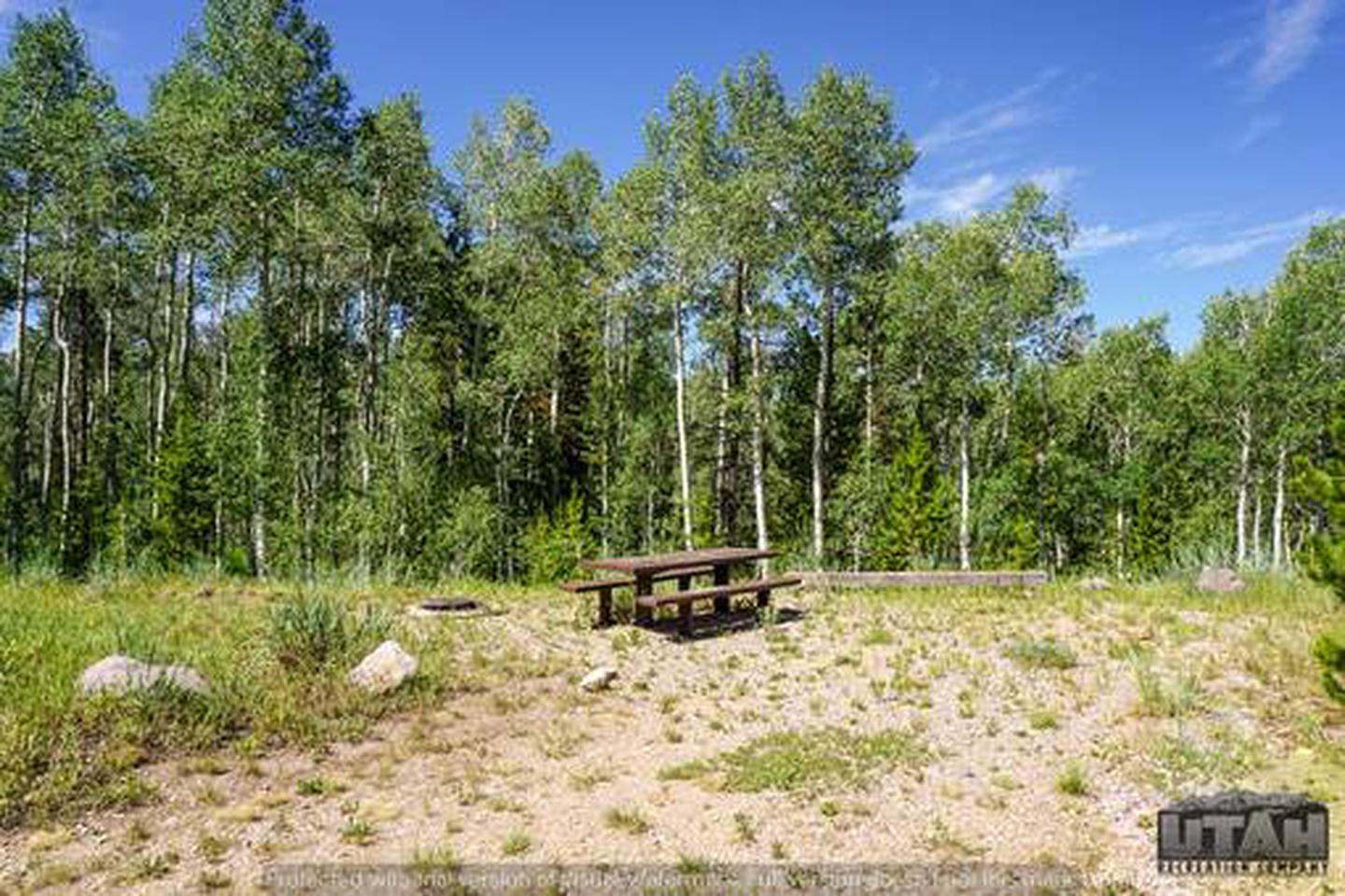 Site 4, Wolverine Atv Trailhead Campground - Recreation.gov