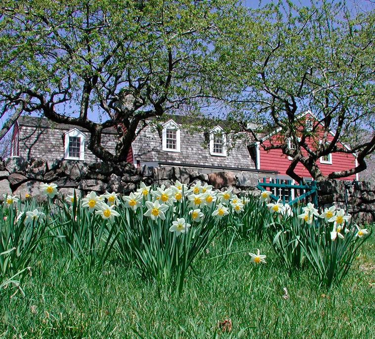 The Burlingham House Visitor Center in Spring