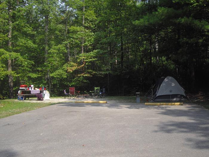D022D022 is a double parking spot on a cul-de-sac.  Awning opens over a parking spot.  Best suited for a pop up or tent.  Low traffic area, 5 minute walk to bath house.