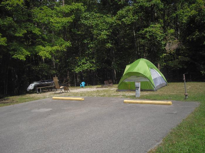 D023D023 is a double parking spot site in a cul-de-sac low traffic area.  Awning opens over a parking spot, best suited for a tent or pop up.  5 minute walk to bath house.