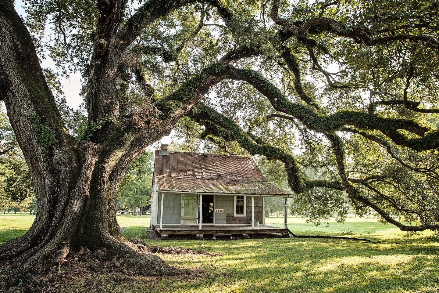 Preview photo of Cane River Creole National Historical Park