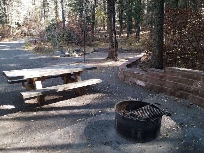 Site 14 with a picnic table, fire ring, lantern pole, and parking.