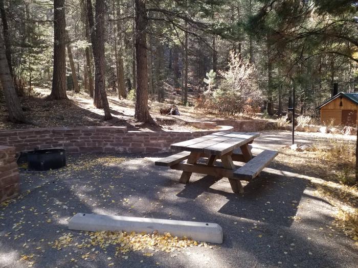 Site 20 with a picnic table, fire ring, lantern pole, and parking.