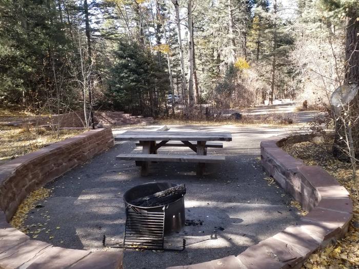 Site 22 with a picnic table, fire ring, lantern pole, and parking.