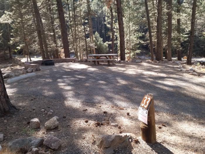 Site 33 with a picnic table, fire ring, lantern pole, and parking.