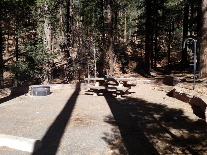 Site 35 with a picnic table, lantern pole, campfire ring and parking.
