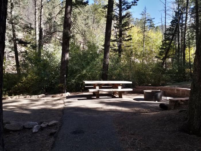 Site 3 with a picnic table, fire ring, and lantern pole. Walk-in campsite.