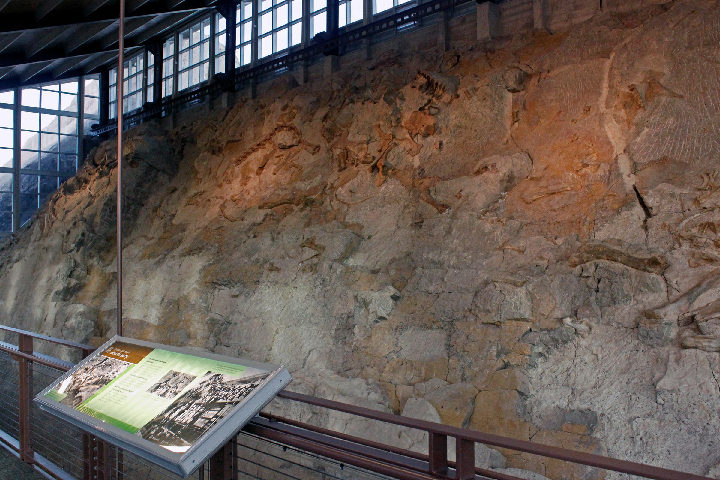 Quarry Wall from Mezzanine