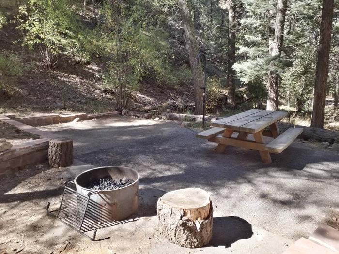 Site 4 with a picnic table, fire ring, and lantern pole. Walk-in campsite.
